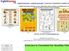 Exercise is Essential for Healthy Pets Interactive Exercise is Essential for Healthy Pets Interactive
