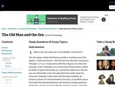 The Old Man and the Sea by Ernest Hemingway: Study Guide - Mini Essays Study Guide The Old Man and the Sea by Ernest Hemingway: Study Guide - Mini Essays Study Guide