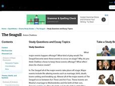 The Seagull by Anton Chekhov: Study Guide - Mini Essays Study Guide The Seagull by Anton Chekhov: Study Guide - Mini Essays Study Guide