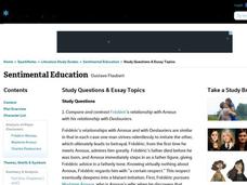 Sentimental Education by Gustave Flaubert: Study Guide - Mini Essays Study Guide Sentimental Education by Gustave Flaubert: Study Guide - Mini Essays Study Guide