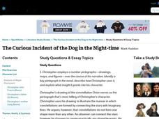 The Curious Incident of the Dog in the Night-Time by Mark Haddon: Study Guide - Mini Essays Study Guide The Curious Incident of the Dog in the Night-Time by Mark Haddon: Study Guide - Mini Essays Study Guide