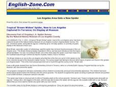ESL Reading Comprehension: "Brown Widow" Spider Interactive ESL Reading Comprehension: "Brown Widow" Spider Interactive