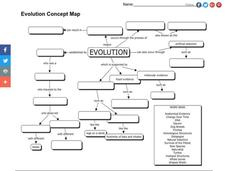 Evolution Concept Map Organizer Evolution Concept Map Organizer