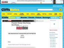 Madame Bovary by Gustave Flaubert Interactive Madame Bovary by Gustave Flaubert Interactive