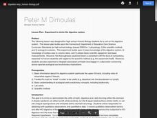 Experiment to Mimic the Digestive System Lesson Plan Experiment to Mimic the Digestive System Lesson Plan