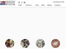 A Phylogenetic Perspective for the Cladistically Challenged Lesson Plan A Phylogenetic Perspective for the Cladistically Challenged Lesson Plan
