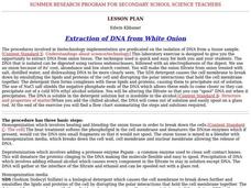 Extraction of DNA from White Onion Lesson Plan Extraction of DNA from White Onion Lesson Plan
