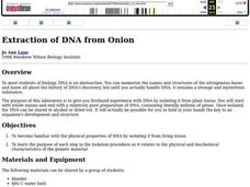 Extraction of DNA from Onion Lesson Plan Extraction of DNA from Onion Lesson Plan