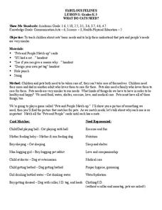 Fabulous Felines Lesson Plan Fabulous Felines Lesson Plan
