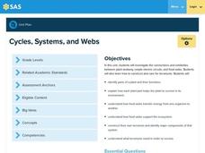Cycles, Systems, and Webs Lesson Plan Cycles, Systems, and Webs Lesson Plan