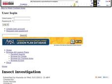 Insect Investigation Lesson Plan Insect Investigation Lesson Plan