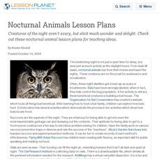 Nocturnal Animals Lesson Plans Lesson Planet Article Nocturnal Animals Lesson Plans Lesson Planet Article