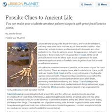 Fossils:  Clues to Ancient Life Lesson Planet Article Fossils:  Clues to Ancient Life Lesson Planet Article