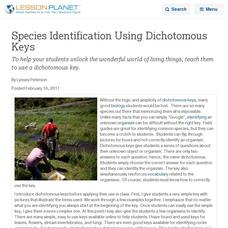 Species Identification Using Dichotomous Keys Lesson Planet Article Species Identification Using Dichotomous Keys Lesson Planet Article