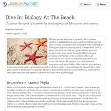 Dive In: Biology At The Beach Lesson Planet Article Dive In: Biology At The Beach Lesson Planet Article