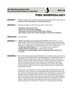 Fish Morphology Lesson Plan Fish Morphology Lesson Plan