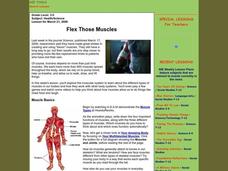 Flex Those Muscles Lesson Plan Flex Those Muscles Lesson Plan