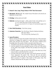 Food Chain Lesson Plan Food Chain Lesson Plan