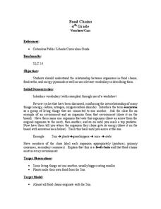 Food Chains Lesson Plan Food Chains Lesson Plan