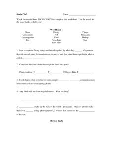 Food Chains Worksheet Food Chains Worksheet