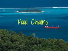Food Chains PPT Food Chains PPT