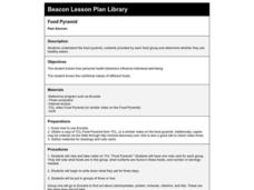 Food Pyramid Lesson Plan Food Pyramid Lesson Plan