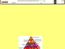 Food Pyramid Lesson Plan Food Pyramid Lesson Plan