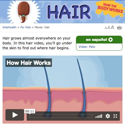 How the Body Works—Hair Video How the Body Works—Hair Video