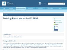 Forming Plural Nouns Lesson Plan Forming Plural Nouns Lesson Plan