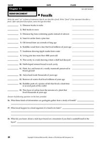 Fossils Worksheet Fossils Worksheet