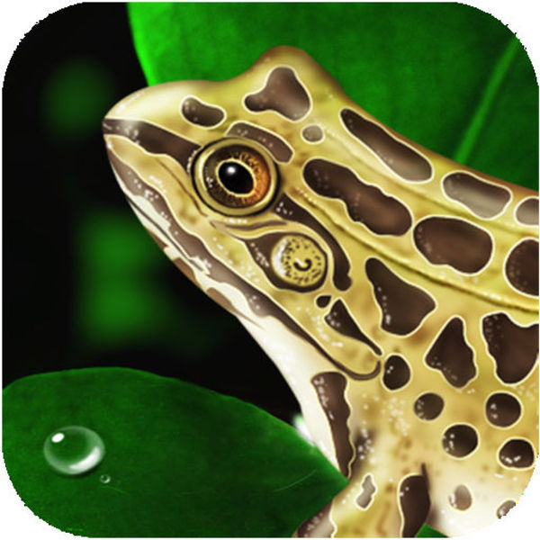 Frog Dissection App Frog Dissection App