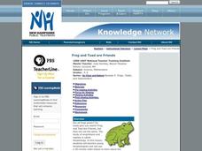 Frog and Toad are Friends Lesson Plan Frog and Toad are Friends Lesson Plan