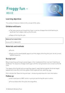 Froggy Fun Lesson Plan Froggy Fun Lesson Plan