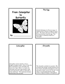 From Caterpillar to Butterfly Worksheet From Caterpillar to Butterfly Worksheet