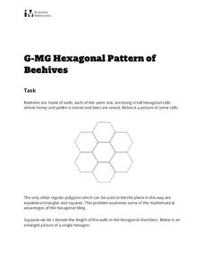 Hexagonal Pattern of Beehives Activity Hexagonal Pattern of Beehives Activity