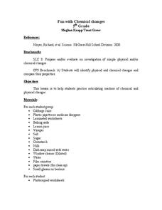 Fun With Chemical Changes Lesson Plan Fun With Chemical Changes Lesson Plan