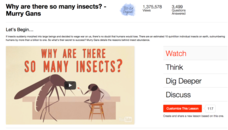 Why Are There so Many Insects? Video Why Are There so Many Insects? Video