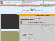 Fungi Lesson Plan Fungi Lesson Plan