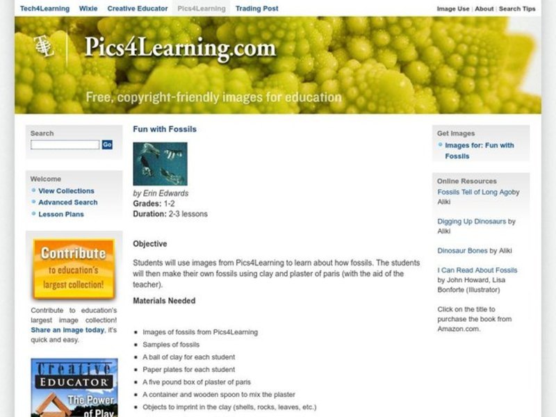 Fun With Fossils Lesson Plan Fun With Fossils Lesson Plan