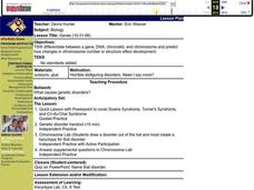 Genes Lesson Plan Genes Lesson Plan