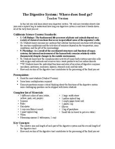 The Digestive System: Where Does Food Go? Lesson Plan The Digestive System: Where Does Food Go? Lesson Plan
