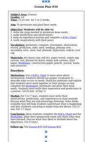 Germinate Bean Seeds Lesson Plan Germinate Bean Seeds Lesson Plan