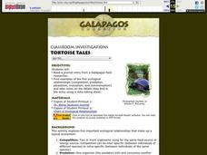Tortoise Tales Lesson Plan Tortoise Tales Lesson Plan
