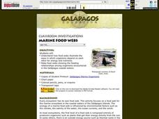 Marine Food Webs Lesson Plan Marine Food Webs Lesson Plan