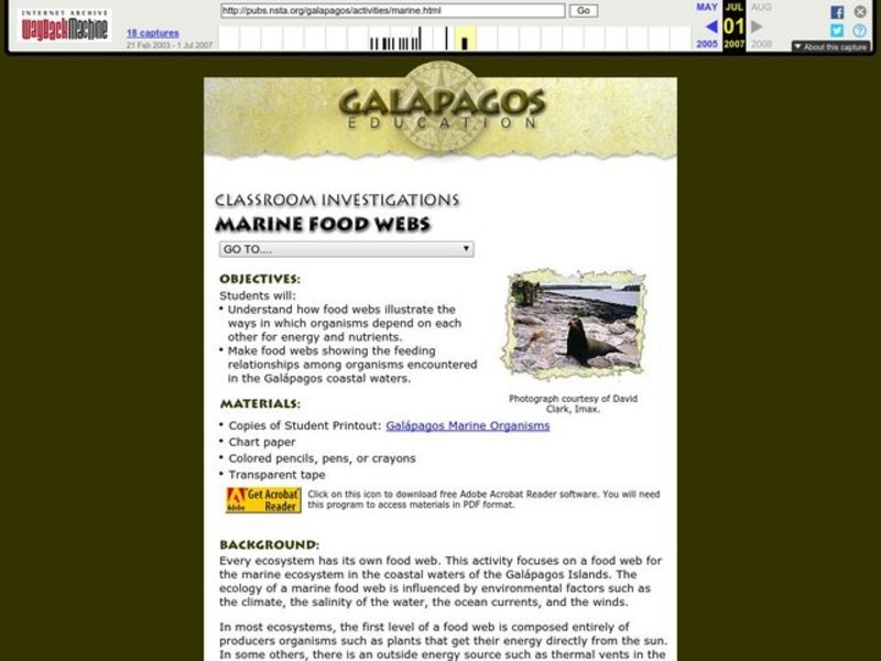 Marine Food Webs Lesson Plan Marine Food Webs Lesson Plan