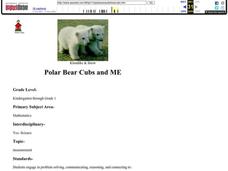 Polar Bear Cubs and ME Lesson Plan Polar Bear Cubs and ME Lesson Plan