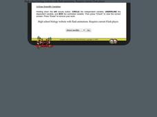 U-Draw Scientific Variables Worksheet U-Draw Scientific Variables Worksheet