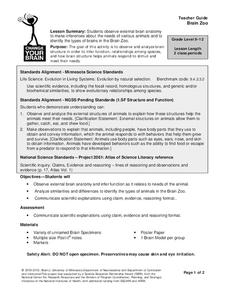 Brain Zoo Lesson Plan Brain Zoo Lesson Plan