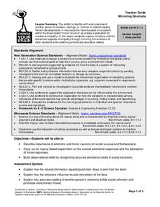 Mirroring Emotions Lesson Plan Mirroring Emotions Lesson Plan