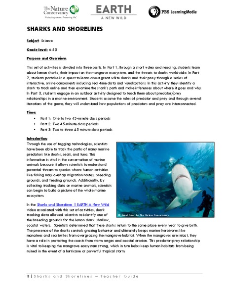 Sharks and Shorelines Lesson Plan Sharks and Shorelines Lesson Plan